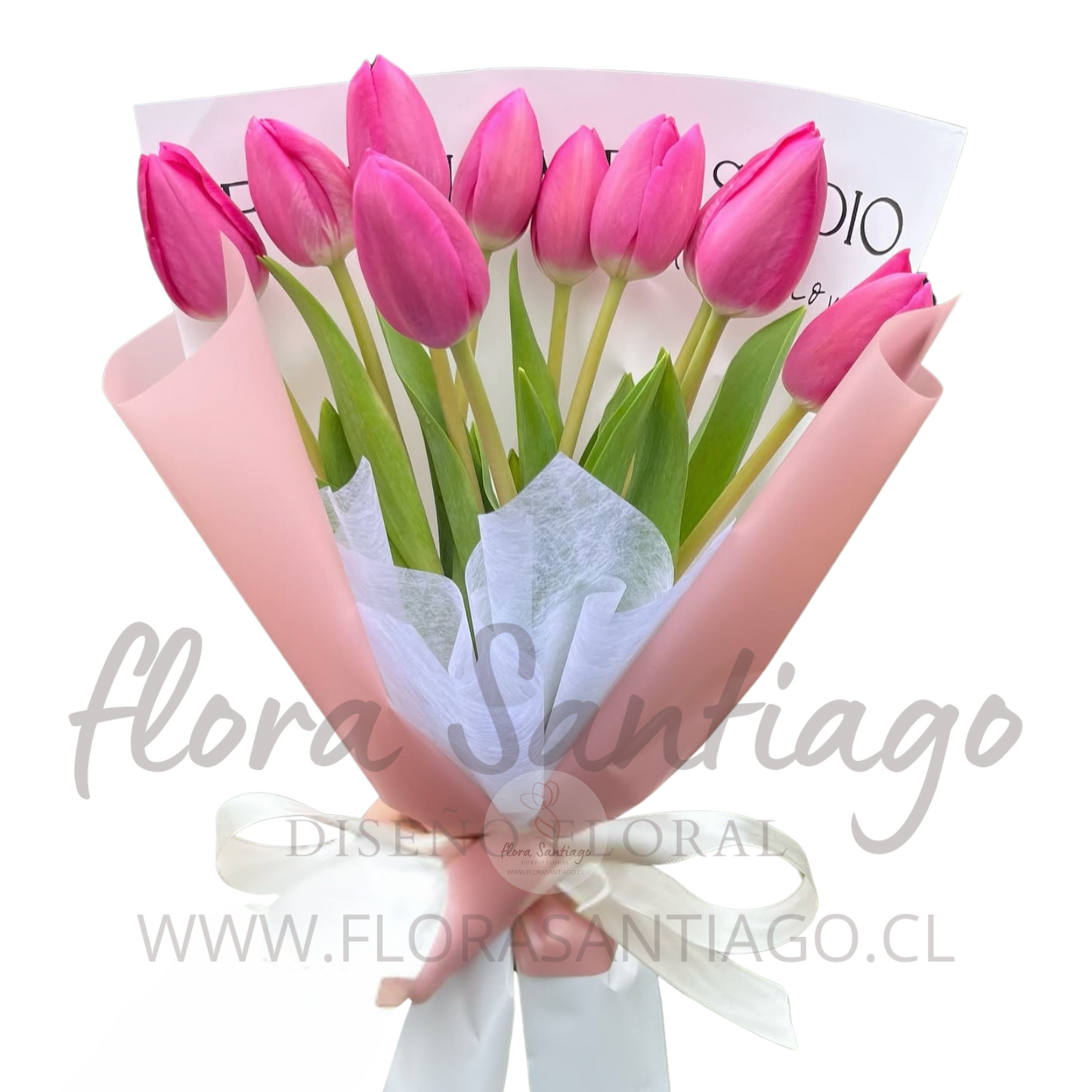 Ramo de 10 Tulipanes