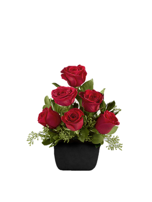 6 ROSAS ROJAS EN BASE DE MADERA