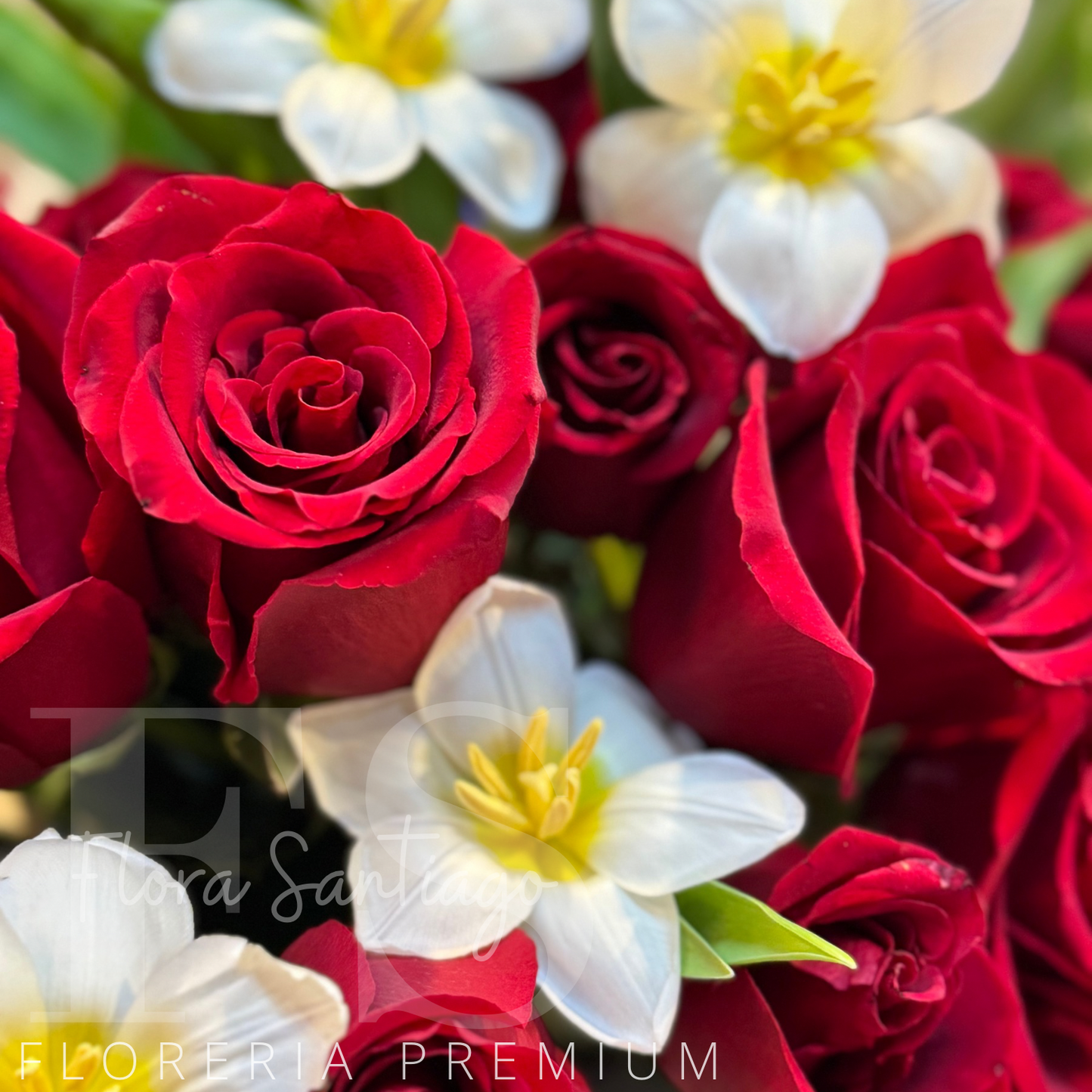 Lindo arreglo de rosas rojas, mini rosas y tulipanes altura 40cm