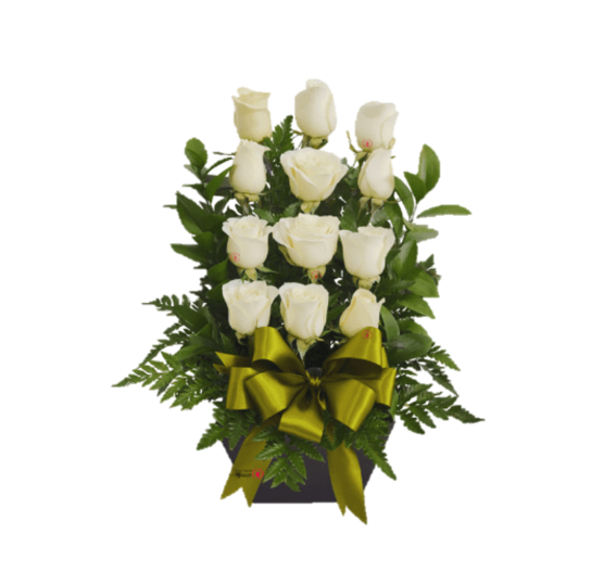 ARRIMO UN CARIÑO CON 12 ROSAS BLANCAS