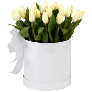 BOX DE 20 TULIPANES BLANCOS