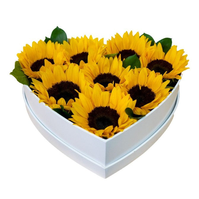 BOX CORAZON DE 6 GIRASOLES
