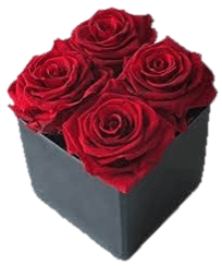 MINI BOX DE 4 ROSAS ROJAS