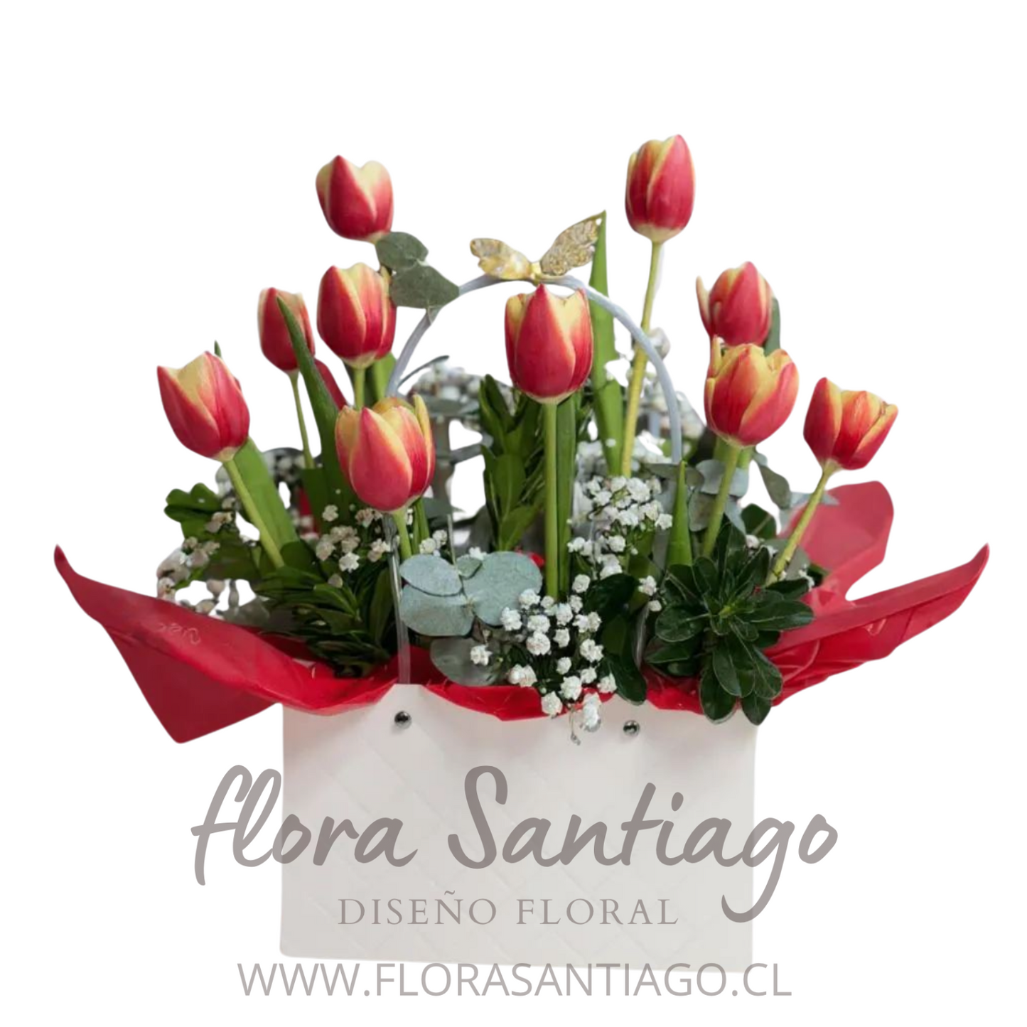 Arreglo en cartera con 10 Tulipanes bicolor