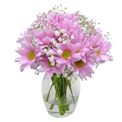 FLORERITO DE MARGARITAS LILA