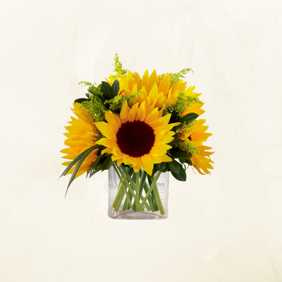 Florero en Cubo de 4 Girasoles