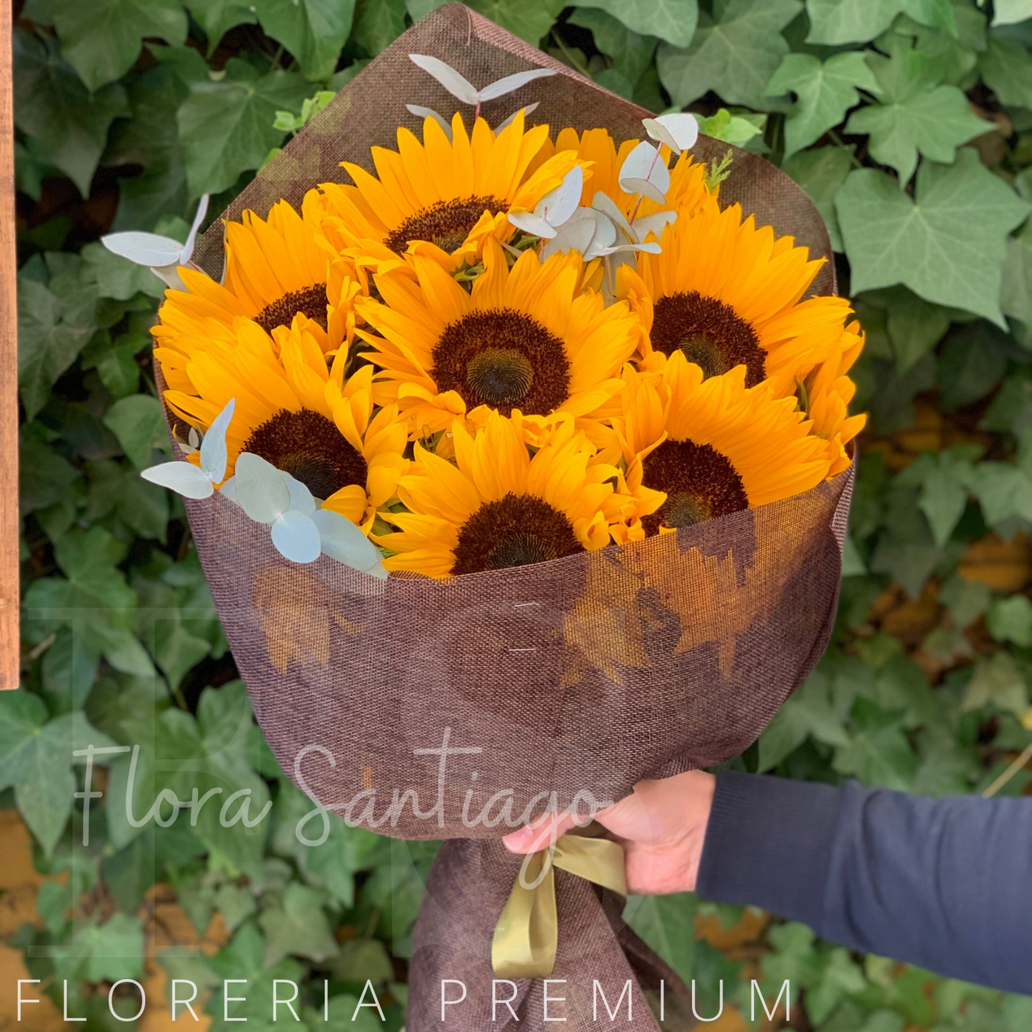 Ramo de 10 girasoles