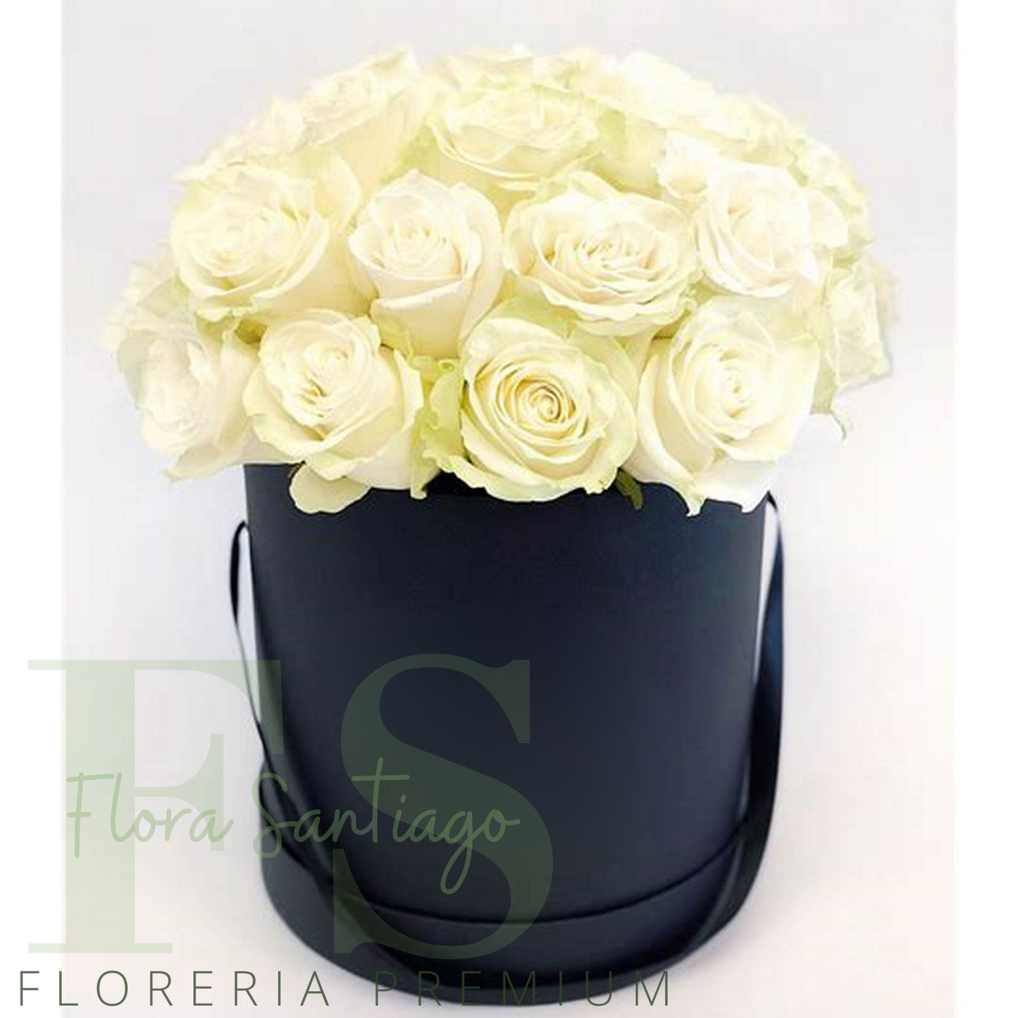 Box cilíndrico negro de 20 rosas blancas importadas