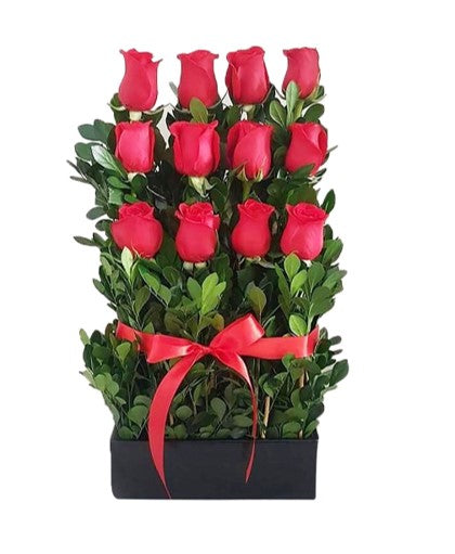 ARRIMO ANIVERSARIO EN ESCALA DE 12 ROSAS