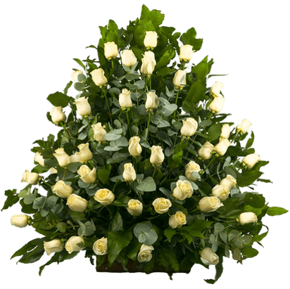 ARRIMO DE 24 ROSAS Y GYPSUPHILIA