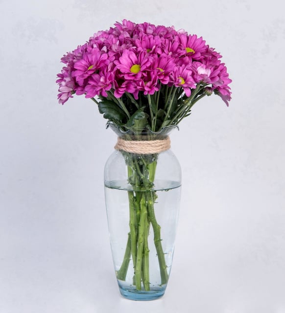 FLORERO DE 10 VARAS DE MARGARITAS LILA