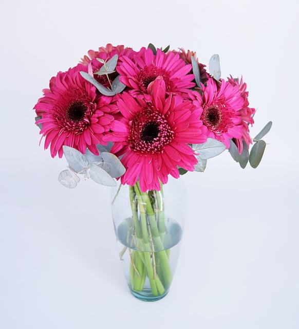 FLORERO DE 10 GERBERAS