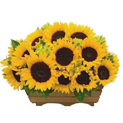 10 GIRASOLES EN BASE DE MADERA