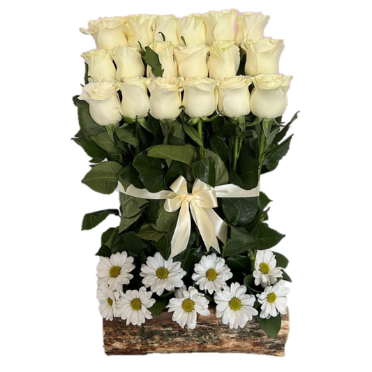 18 ROSAS IMPORTADAS EN ESCALA