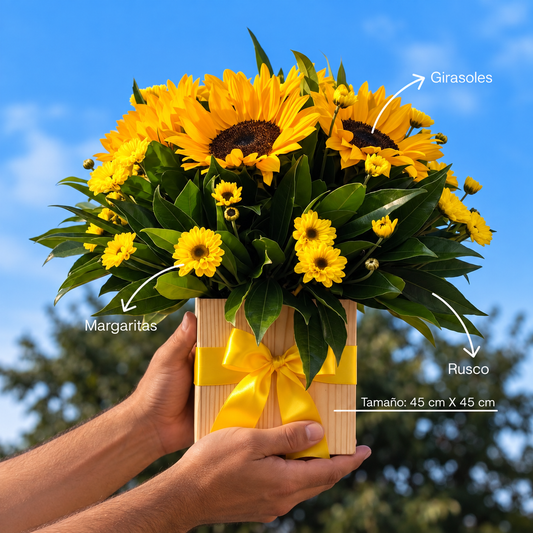 Box de 5 girasoles y margaritas amarillas
