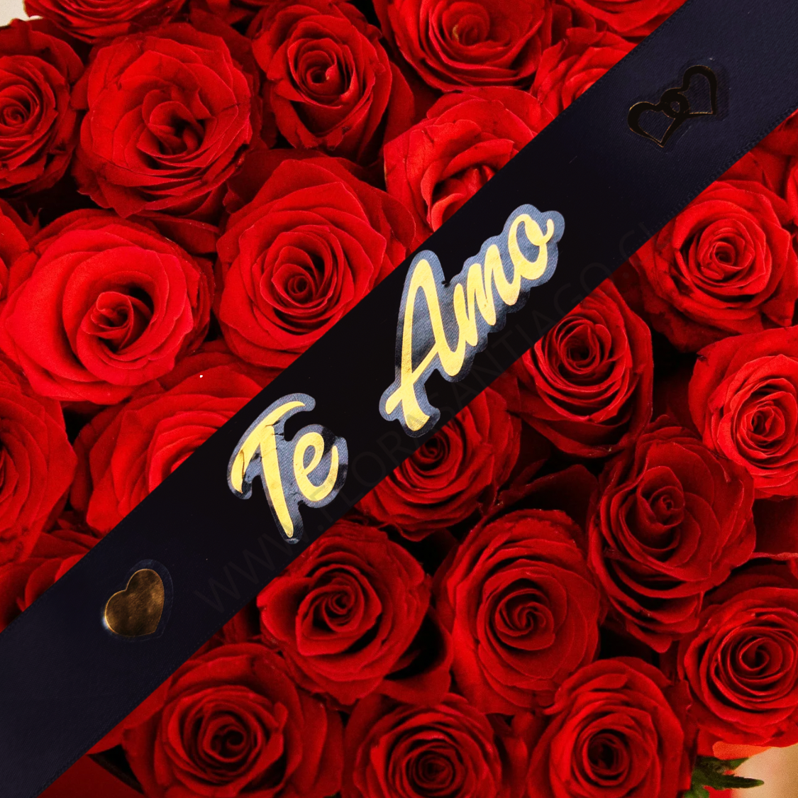 Cinta te amo