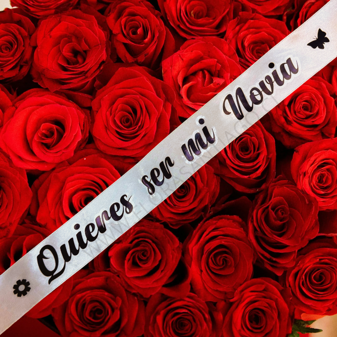Cinta quieres ser mi novia?