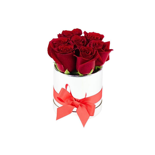 Box de 6 rosas rojas