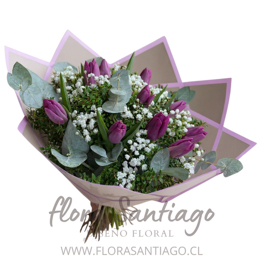 Ramo de 10 Tulipanes lilas