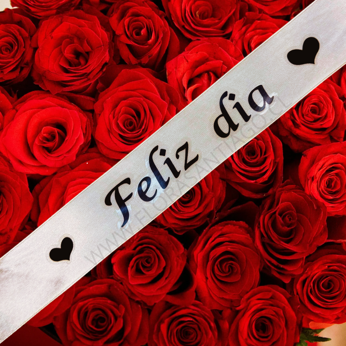 Cinta feliz día