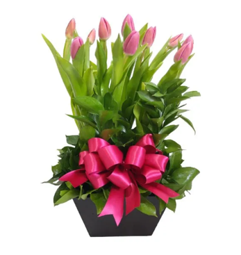 ARREGLO EN BASE DE 10 TULIPANES