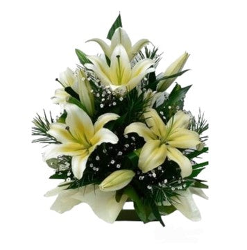 ARRIMO DE LILIUM BLANCO