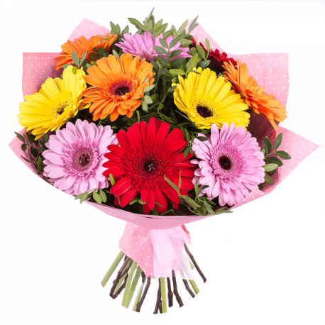 Gerberas de colores