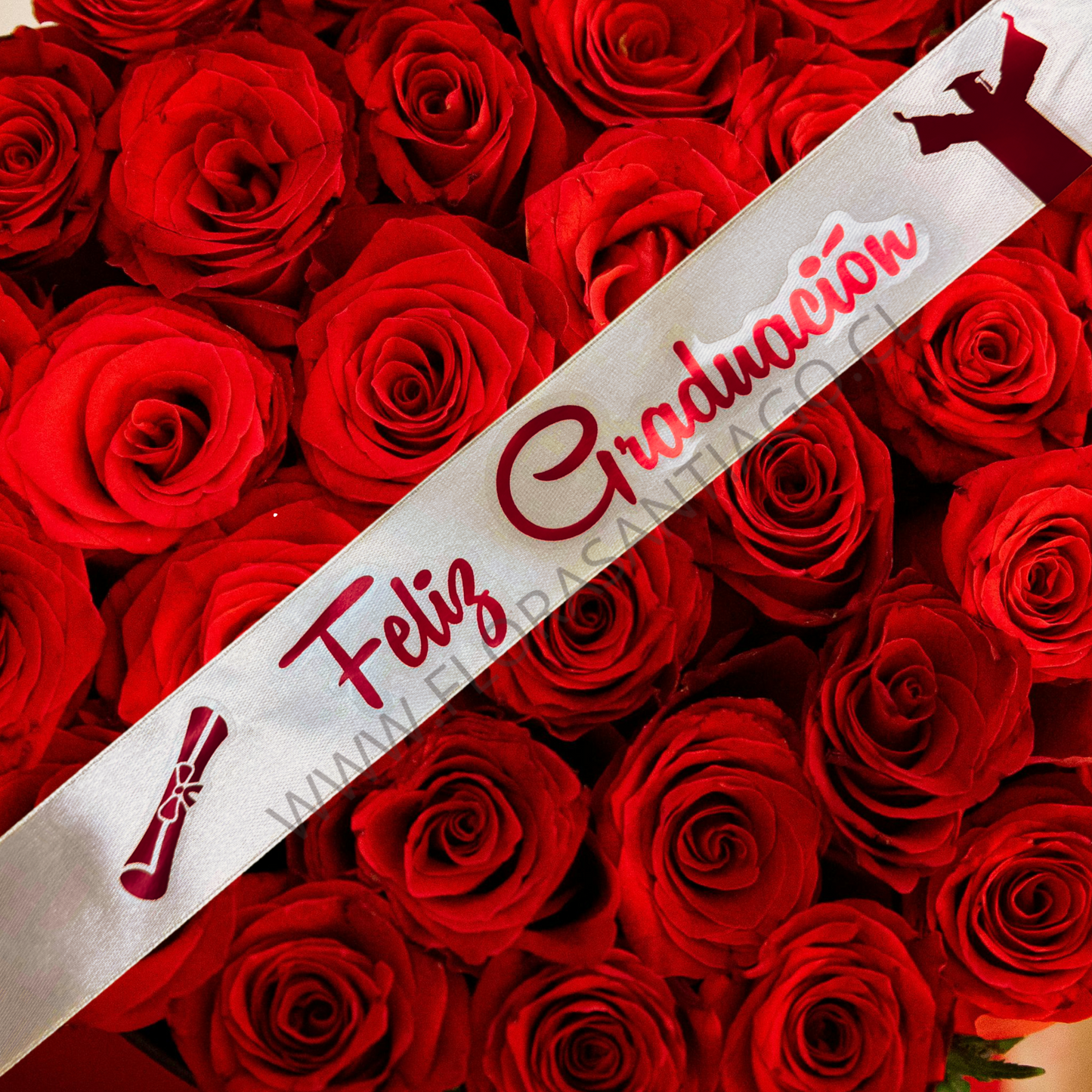Cinta feliz graduación