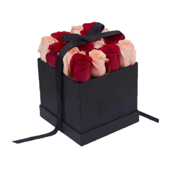 BOX 12 ROSAS MIX ROJO-ROSADO