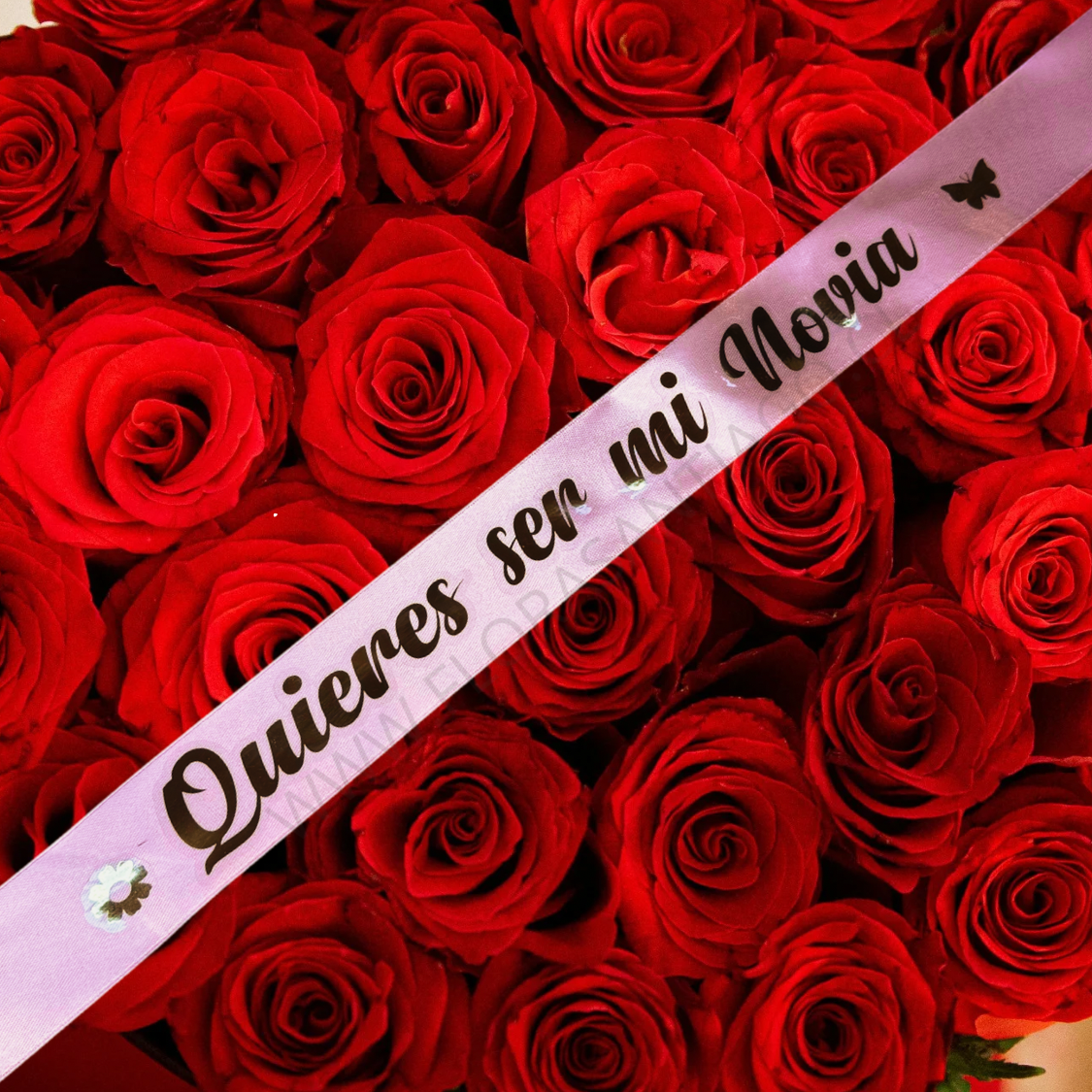 Cinta quieres ser mi novia?