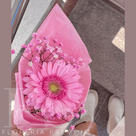 1 gerbera vuelta para regalo