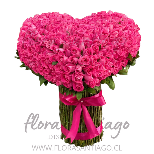 Arreglo corazón con 100 Rosas fucsia