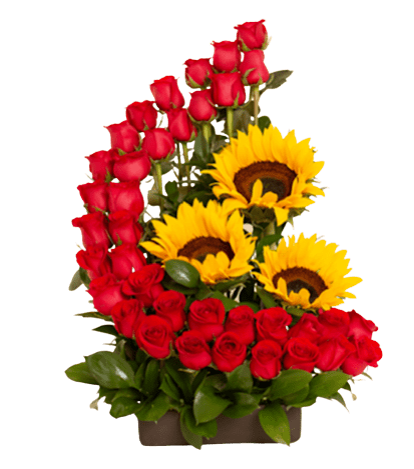 ESPIRAL DE 30 ROSAS Y GIRASOLES