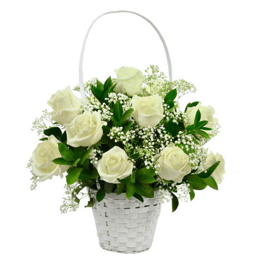 CANASTO DE 10 ROSAS IMPORTADAS CON GYPSUPHILIA