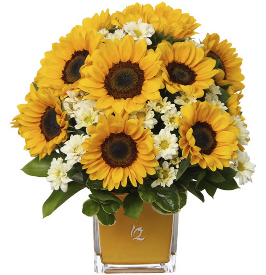 CUBO DE 10 GIRASOLES Y MARGARITAS