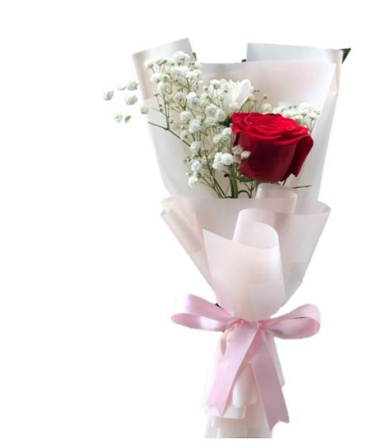 Rosa Roja con follaje