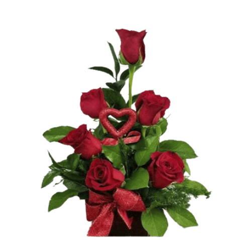 Base de 6 Rosas Rojas en escala