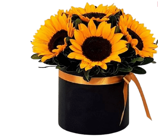 Box Cilindro de 6 Girasoles