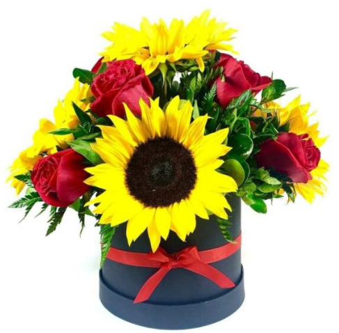 Box Cilindro de 4 Rosas y 4 Girasoles