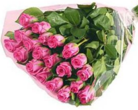 Ramo de 20 Rosas Rosadas