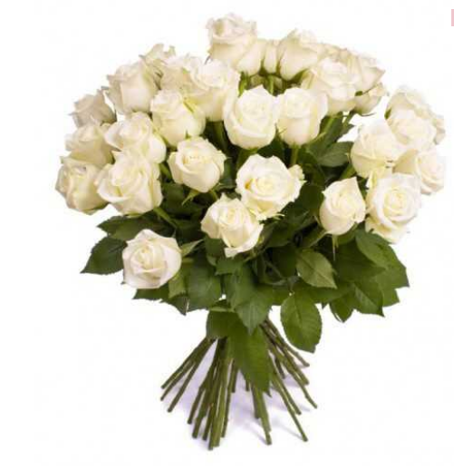 Ramo de 28 Rosas Blancas