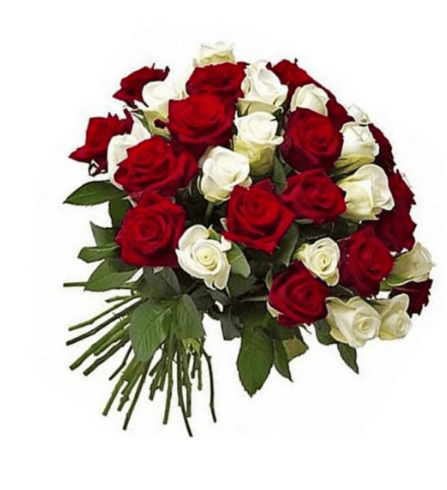 Ramo de 50 Rosas Blanco y Rojo