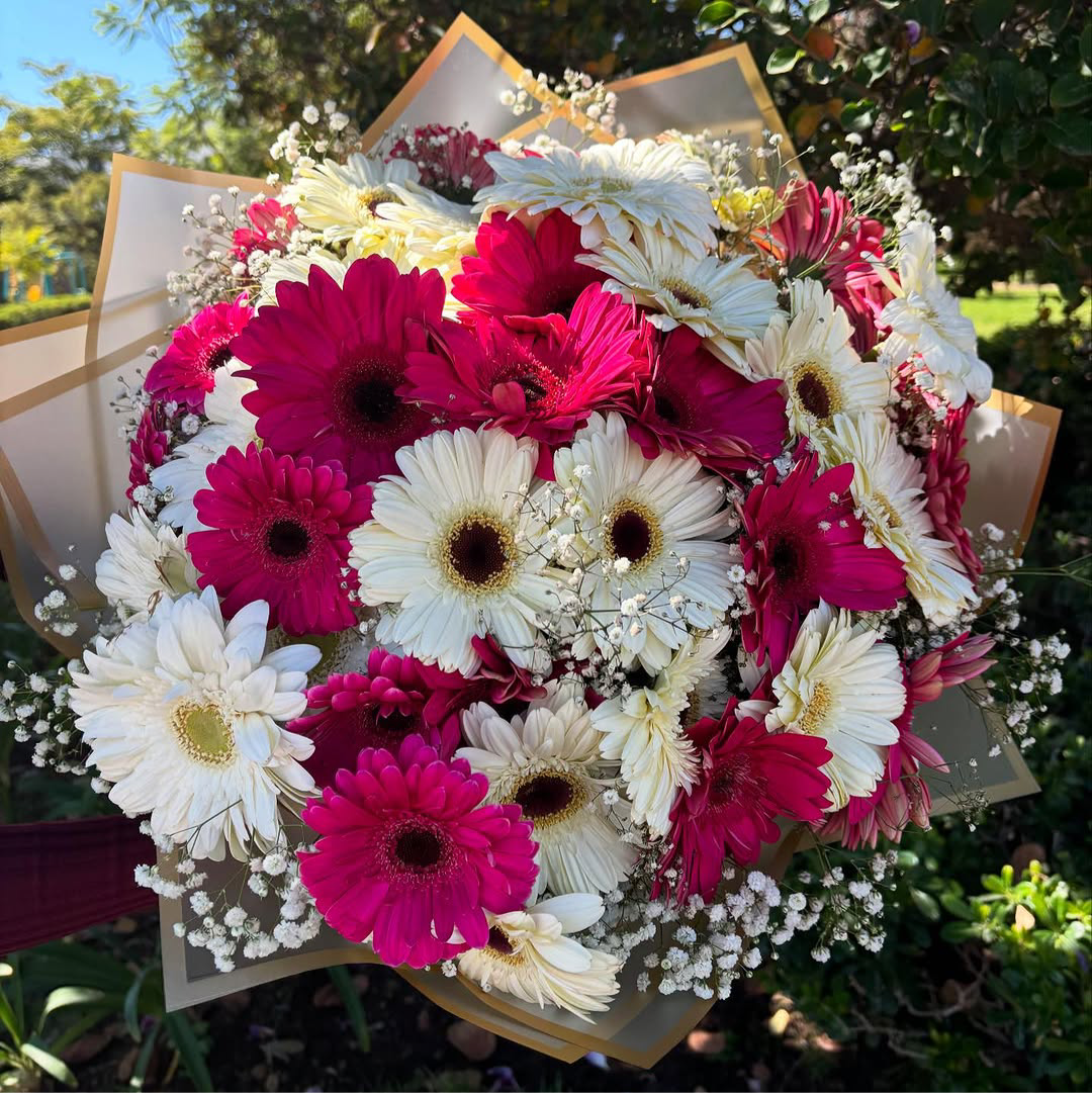 Ramo de 20 gerberas
