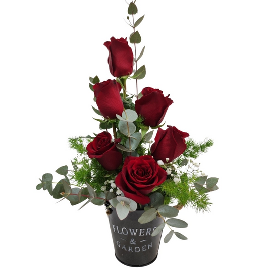 Arreglo de 6 rosas rojas en hermosa base