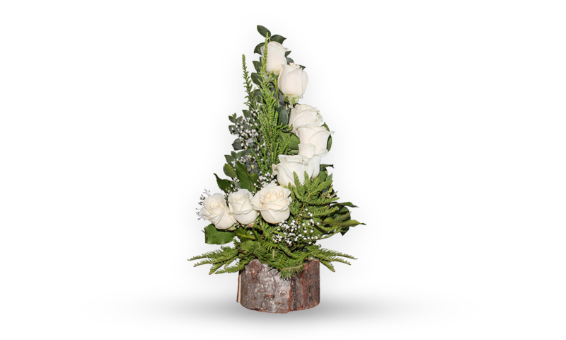 ESPIRAL DE 10 ROSAS BLANCAS