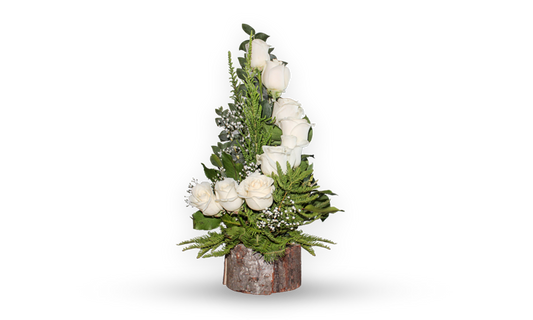 ESPIRAL DE 10 ROSAS BLANCAS