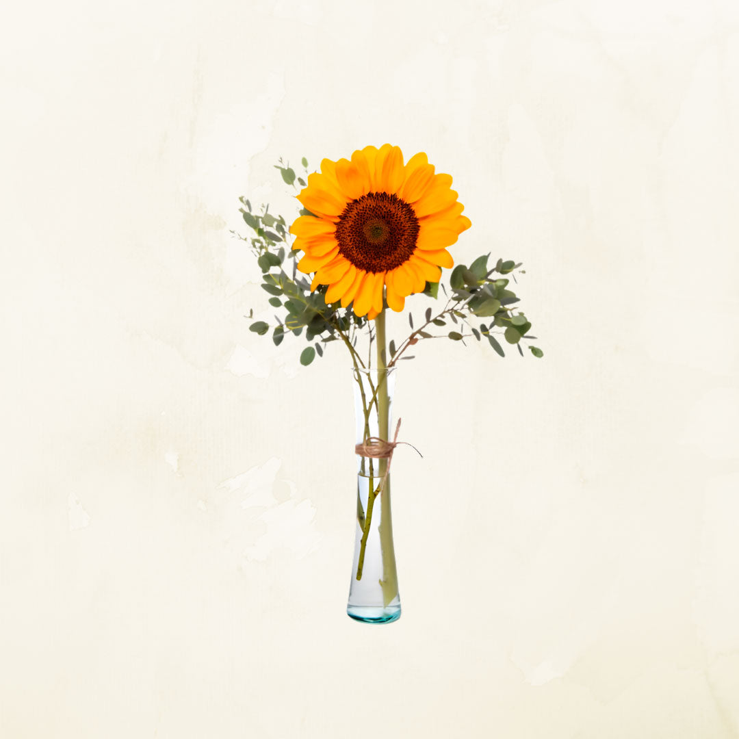 Florero de 1 Girasol