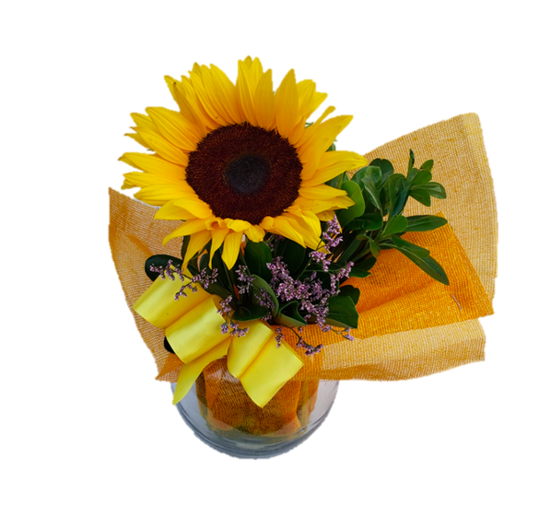 GIRASOL EN PECERA DE VIDRIO