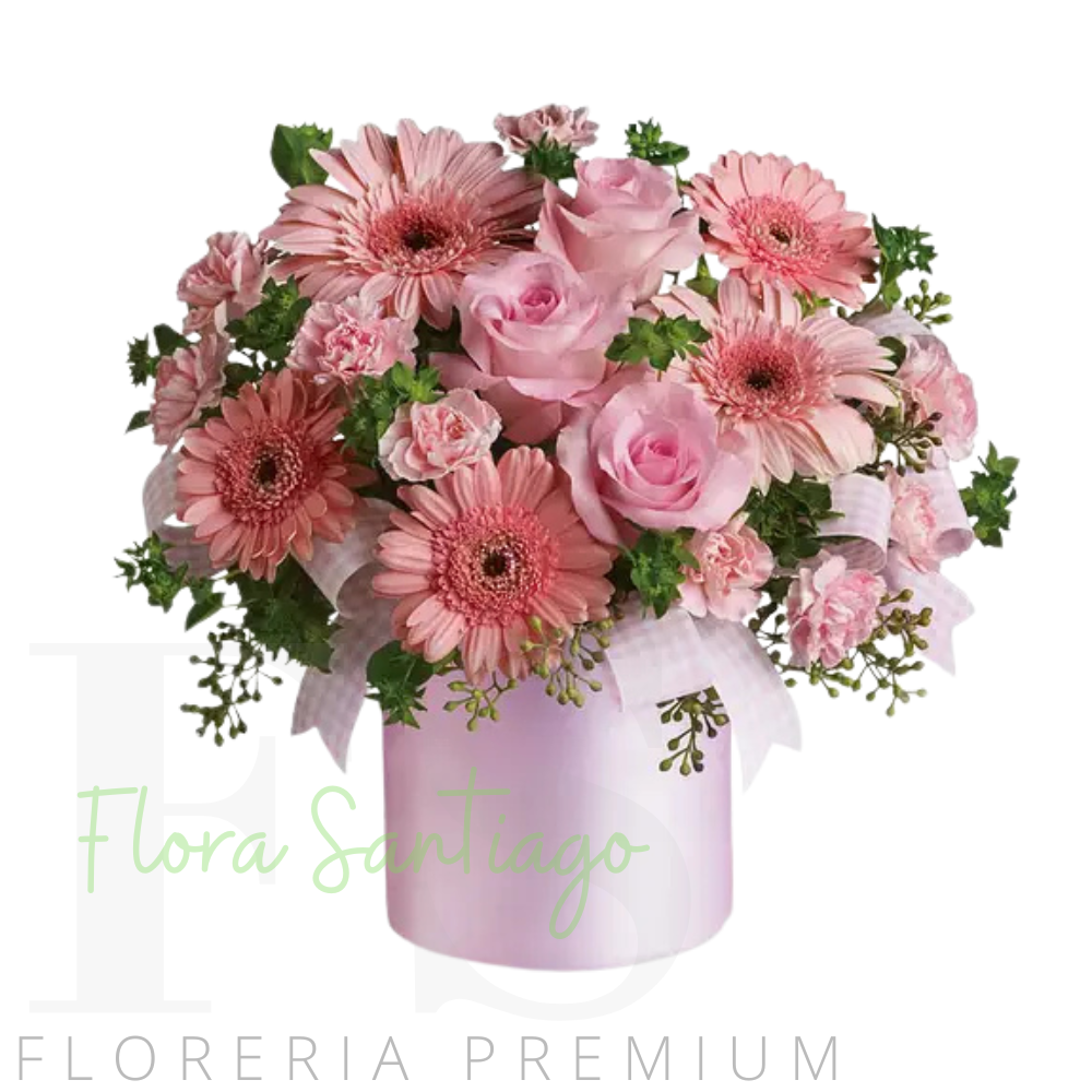 Box de 6 rosas y 6 gerberas flores rosadas