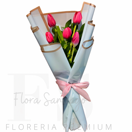 5 Tulipanes envueltos para regalo